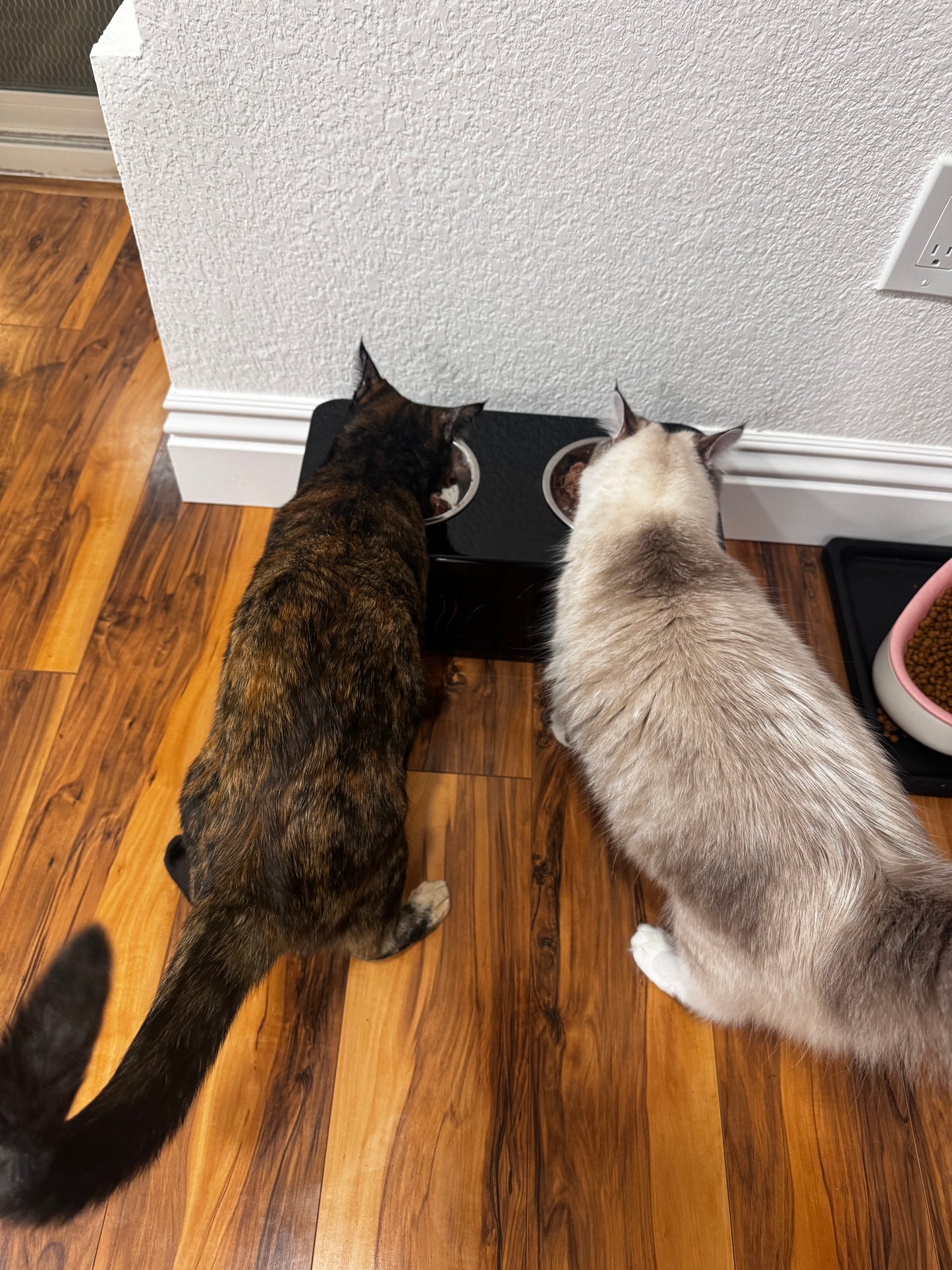 Pet Bowl Stand – Raised Dog or Cat Feeder – Modern Pet Bowl Holder – Handmade Pet Feeding Station – Custom Dog Bowl Stand